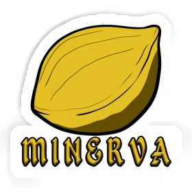 Sticker Nut Minerva Image