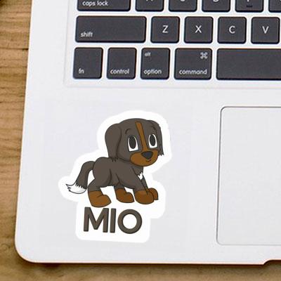 Bernese Mountain Dog Sticker Mio Gift package Image