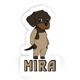 Sticker German Wirehaired Pointer Mira Image