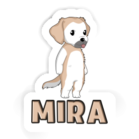 Autocollant Mira Golden Retriever Image