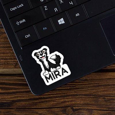 Sticker Mira Border Collie Gift package Image