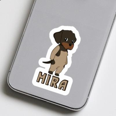 Sticker German Wirehaired Pointer Mira Gift package Image