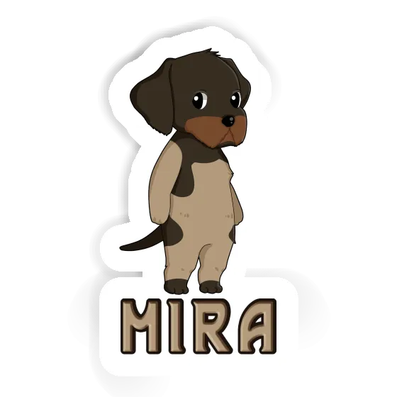 Sticker German Wirehaired Pointer Mira Laptop Image