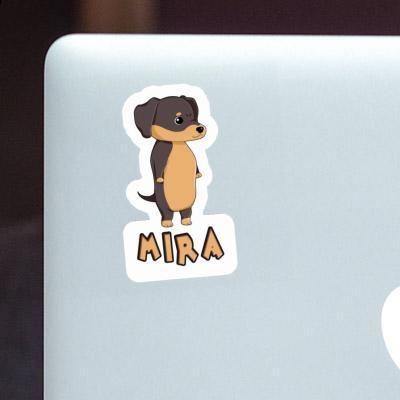 Sticker Mira Dachshund Gift package Image