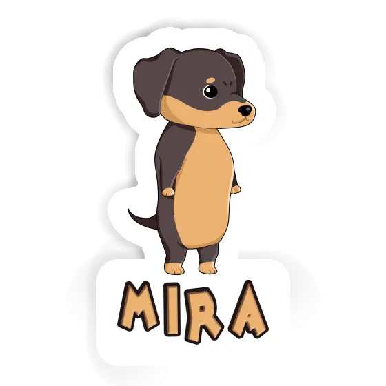 Autocollant Dachshund Mira Notebook Image