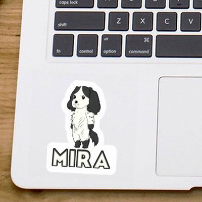 Sticker Mira English Cocker Spaniel Gift package Image