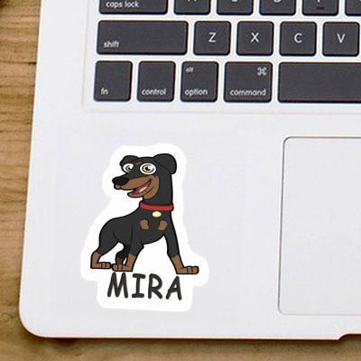 Mira Autocollant Pinscher Notebook Image