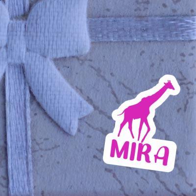 Autocollant Girafe Mira Gift package Image