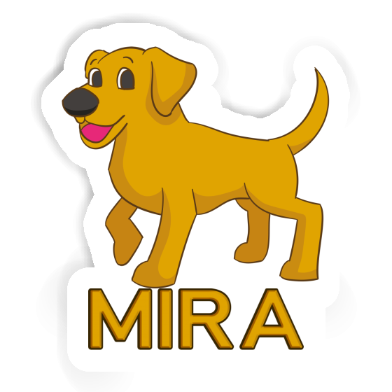 Mira Sticker Labrador Gift package Image