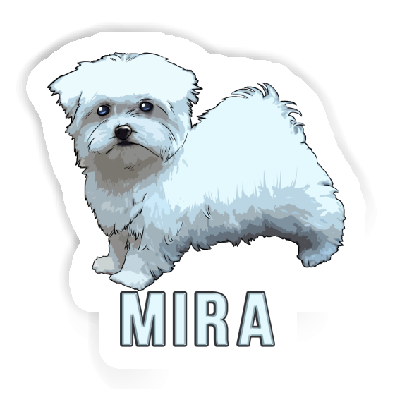 Sticker Mira Malteserhund Image