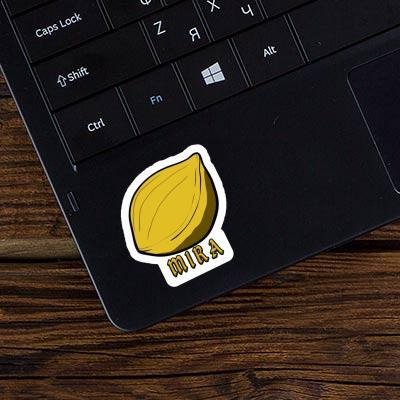 Nut Sticker Mira Laptop Image