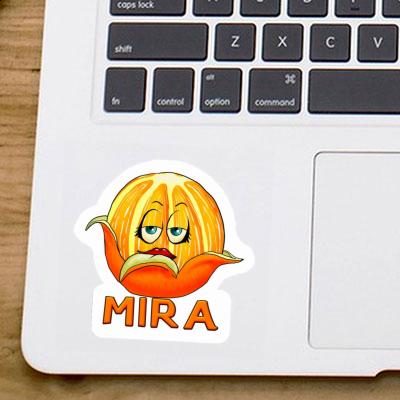 Autocollant Mira Orange Gift package Image