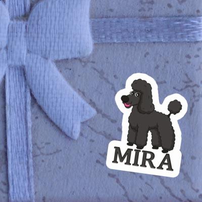 Autocollant Mira Caniche Notebook Image