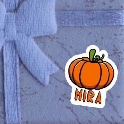 Sticker Pumpkin Mira Gift package Image