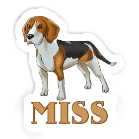 Miss Sticker Beagle Image