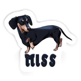 Sticker Miss Dachshund Image