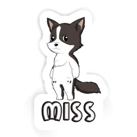 Autocollant Miss Collie border Image