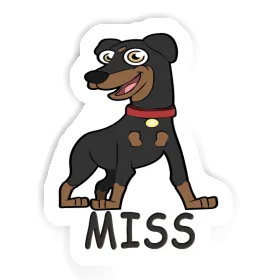 German Pinscher Sticker Miss Image