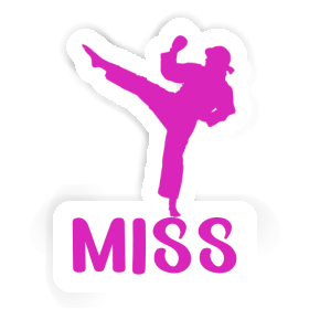 Karateka Sticker Miss Image