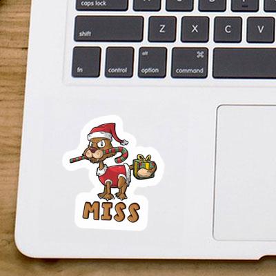 Sticker Christmas Cat Miss Gift package Image