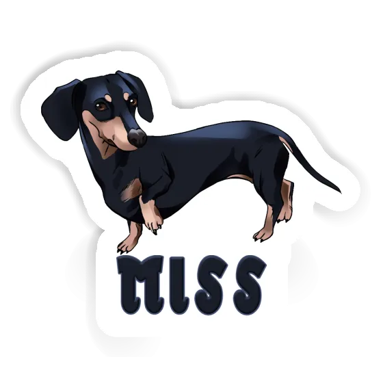 Sticker Miss Dachshund Gift package Image