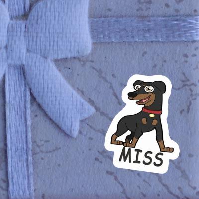 Aufkleber Pinscher Miss Gift package Image