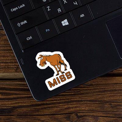 Sticker Horse Miss Image