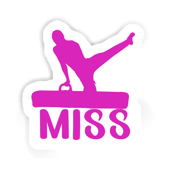 Turner Sticker Miss Gift package Image