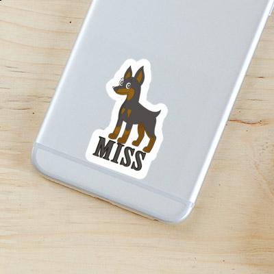 Aufkleber Pinscher Miss Gift package Image