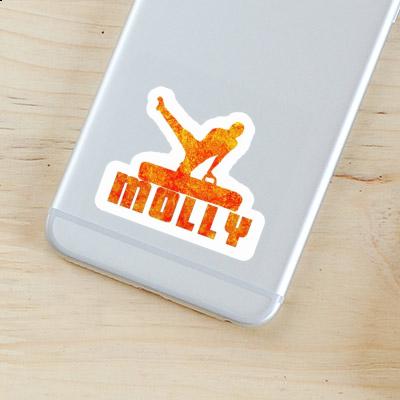 Molly Autocollant Gymnaste Notebook Molly Autocollant Gymnaste Gift package Image