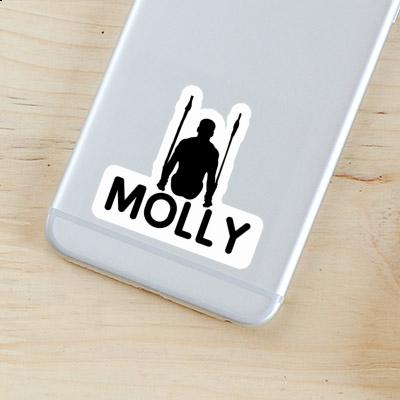 Gymnaste aux anneaux Autocollant Molly Laptop Gymnaste aux anneaux Autocollant Molly Laptop Image
