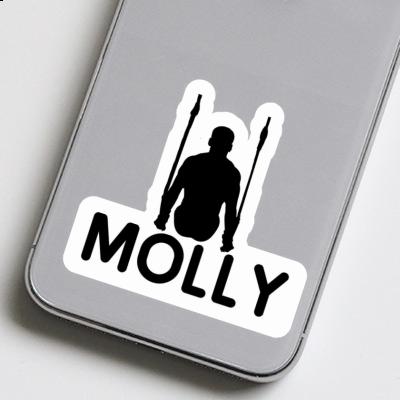 Sticker Ring gymnast Molly Notebook Sticker Ring gymnast Molly Gift package Image
