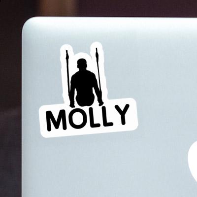 Sticker Ring gymnast Molly Notebook Sticker Ring gymnast Molly Gift package Image