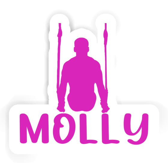 Gymnaste aux anneaux Autocollant Molly Notebook Gymnaste aux anneaux Autocollant Molly Gift package Image