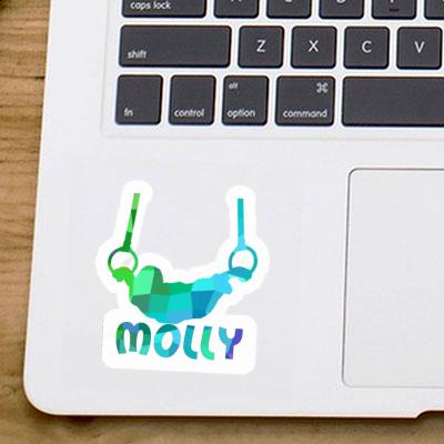 Gymnaste aux anneaux Autocollant Molly Notebook Gymnaste aux anneaux Autocollant Molly Gift package Image