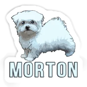 Sticker Morton Maltese Image