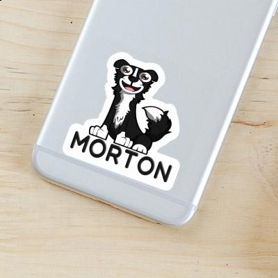 Autocollant Collie Morton Gift package Image