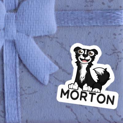 Autocollant Collie Morton Gift package Image