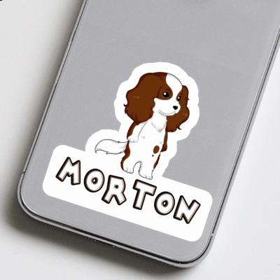 Autocollant Morton Cavalier King Charles Spaniel Gift package Image