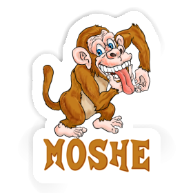 Affe Aufkleber Moshe Image