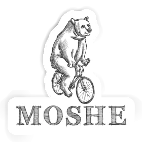 Sticker Bear Moshe Image