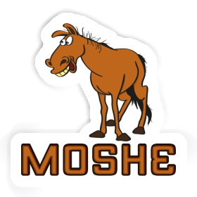 Sticker Pferd Moshe Image