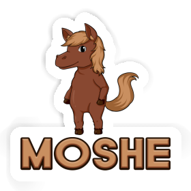 Sticker Pferd Moshe Image