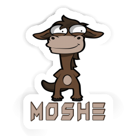 Ross Aufkleber Moshe Image