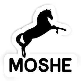 Sticker Moshe Pferd Image