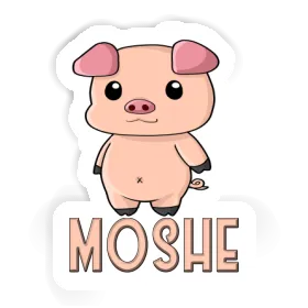 Moshe Sticker Piglet Image