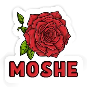 Sticker Rose Moshe Image