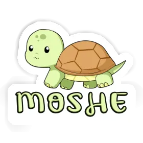 Aufkleber Schildkröte Moshe Image