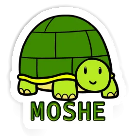 Sticker Schildkröte Moshe Image