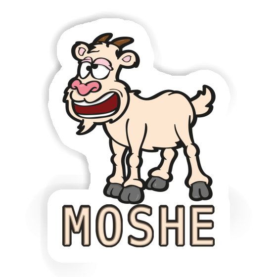 Goat Sticker Moshe Notebook Goat Sticker Moshe Gift package Image